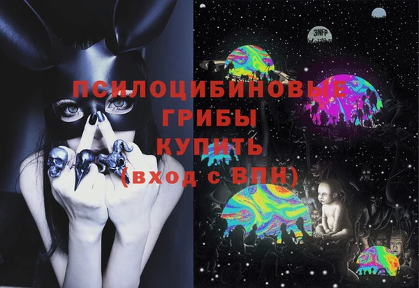 амф Гусь-Хрустальный