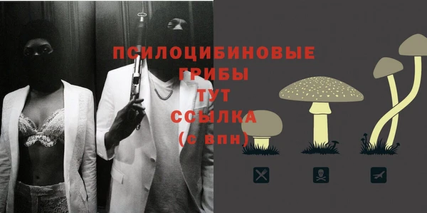 каннабис Бородино