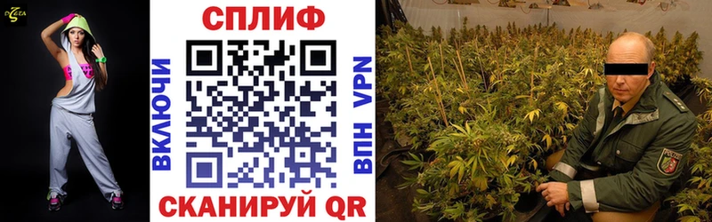 МАРИХУАНА Amnesia  продажа наркотиков  Новоржев 